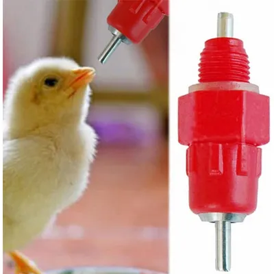 ZooVenture 15 Biberons Auto Eau Volaille Pour Poules Canards