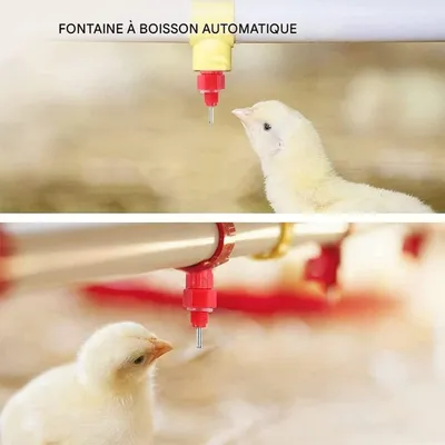 ZooVenture 15 Biberons Auto Eau Volaille Pour Poules Canards
