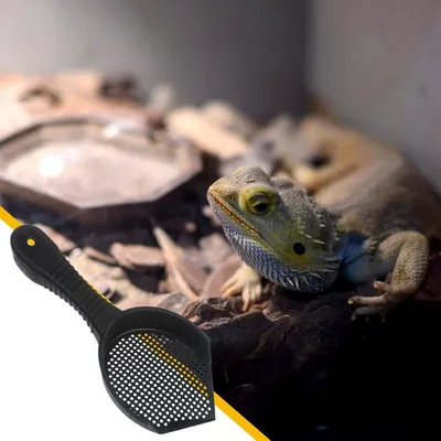 ZenPets Pelle à litière multifonctionnelle pour animaux