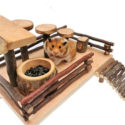 Pet Planet Bol en bois de pommier pour hamsters