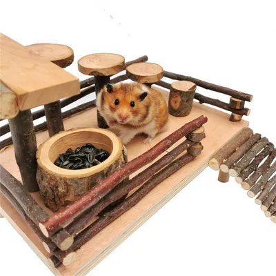 Pet Planet Bol en bois de pommier pour hamsters