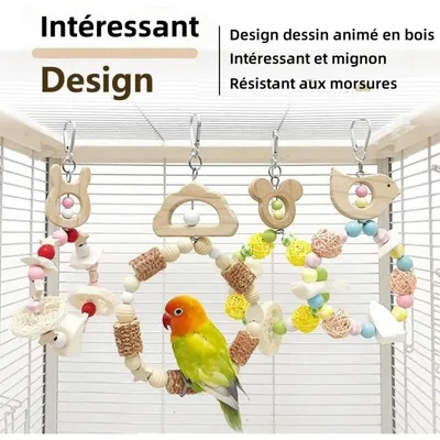 ZooVenture 2 Pcs Ensemble De Balançoires Pour Oiseaux