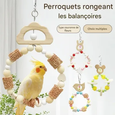 ZooVenture 2 Pcs Ensemble De Balançoires Pour Oiseaux