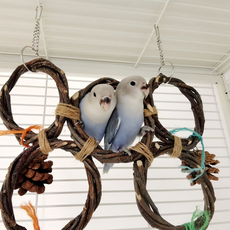 FurryFusion Jouet de balançoire suspendue pour oiseaux