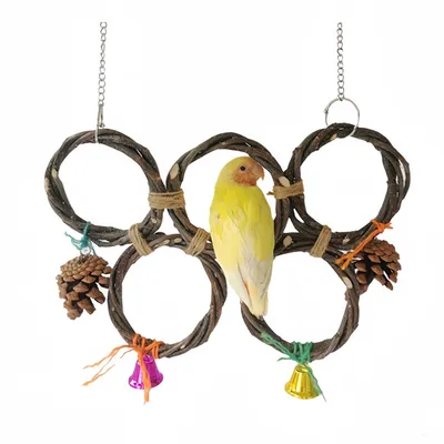 FurryFusion Jouet de balançoire suspendue pour oiseaux