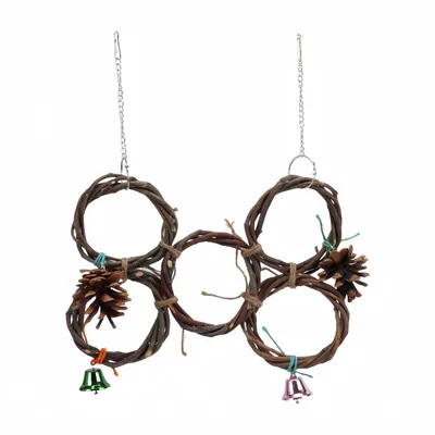 FurryFusion Jouet de balançoire suspendue pour oiseaux