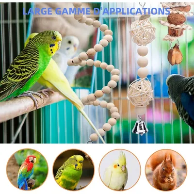 ZooVenture Lot De 6 Jouets À Mâcher En Bois Naturel Pour Oiseaux