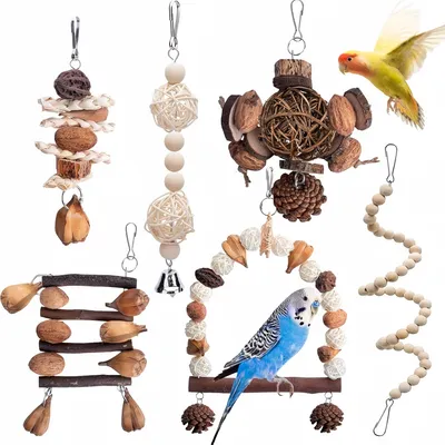 ZooVenture Lot De 6 Jouets À Mâcher En Bois Naturel Pour Oiseaux