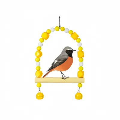 ZenPets Balançoire en bois pour perruches et petits oiseaux