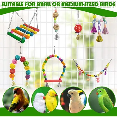ZooVenture Set De 13 Pièces De Jouets Pour Oiseaux Pour Oiseaux