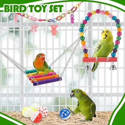 ZooVenture Set De 13 Pièces De Jouets Pour Oiseaux Pour Oiseaux
