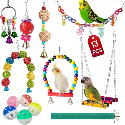ZooVenture Set De 13 Pièces De Jouets Pour Oiseaux Pour Oiseaux