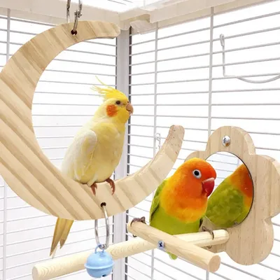 ZooVenture Balançoire En Bois Pour Oiseaux