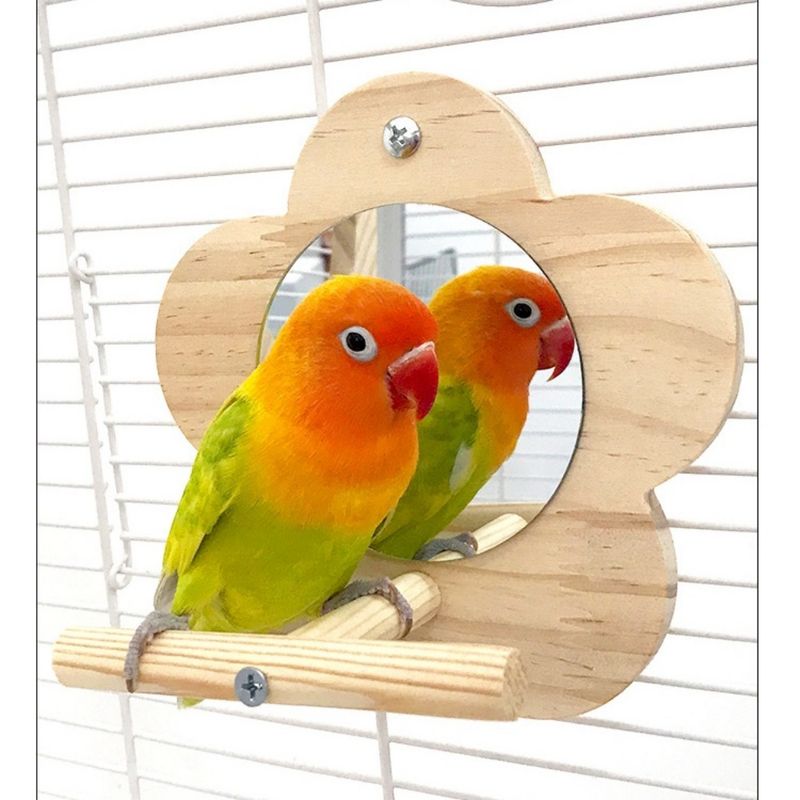 ZooVenture Balançoire En Bois Pour Oiseaux