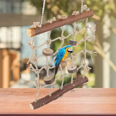 Pet Planet Hamac et Jouet Balançoire avec Échelle en Bois Pour Oiseaux