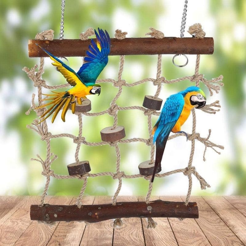 Pet Planet Hamac et Jouet Balançoire avec Échelle en Bois Pour Oiseaux