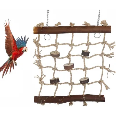 Pet Planet Hamac et Jouet Balançoire avec Échelle en Bois Pour Oiseaux