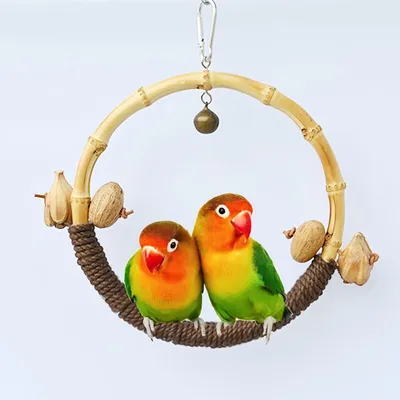 FurryFusion Jouet pour oiseau Ring Swing