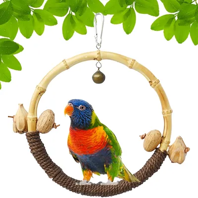 FurryFusion Jouet pour oiseau Ring Swing