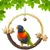 FurryFusion Jouet pour oiseau Ring Swing