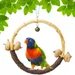 FurryFusion Jouet pour oiseau Ring Swing