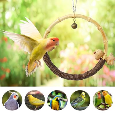 FurryFusion Columpio de aro de juguete para pájaros