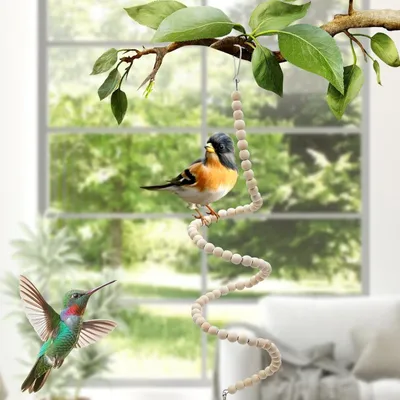 ZooVenture Set De 7 Pièces De Jouets Pour Oiseaux Pour Oiseaux