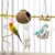 ZooVenture Set De 7 Pièces De Jouets Pour Oiseaux Pour Oiseaux