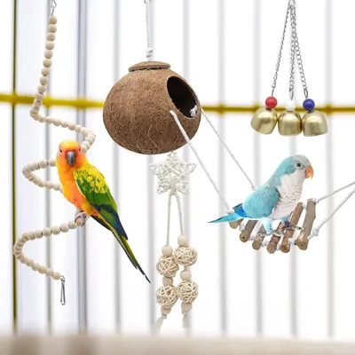 ZooVenture Set De 7 Pièces De Jouets Pour Oiseaux Pour Oiseaux