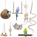 ZooVenture Set De 7 Pièces De Jouets Pour Oiseaux Pour Oiseaux