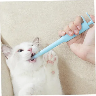 ZenPets Distributeur de pilules pour chat