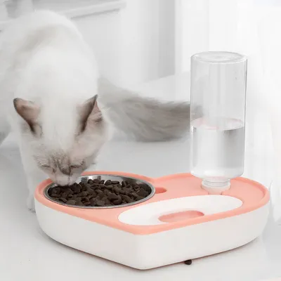 UAMLY Distributeur automatique d'eau et de nourriture pour chat 2 en 1