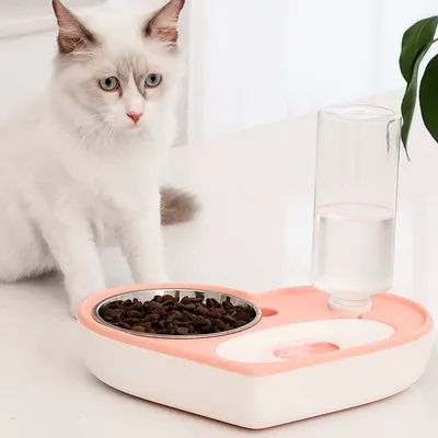 UAMLY Distributeur automatique d'eau et de nourriture pour chat 2 en 1