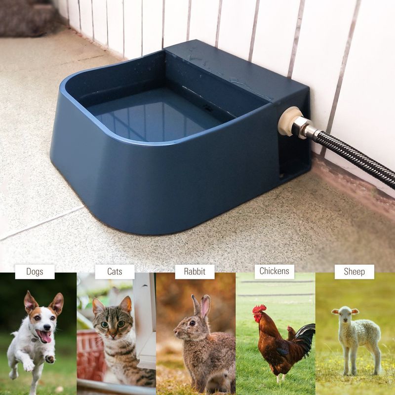 Abreuvoir automatique pour animaux de compagnie avec robinet à flotteur