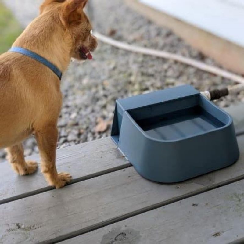 Abreuvoir automatique pour animaux de compagnie avec robinet à flotteur