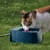 Abreuvoir automatique pour animaux de compagnie avec robinet à flotteur