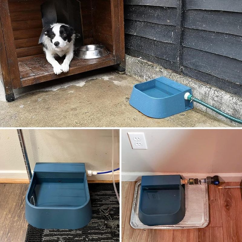 Abreuvoir automatique pour animaux de compagnie avec robinet à flotteur