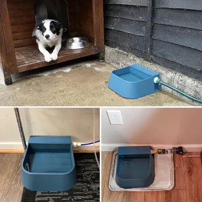 Abreuvoir automatique pour animaux de compagnie avec robinet à flotteur