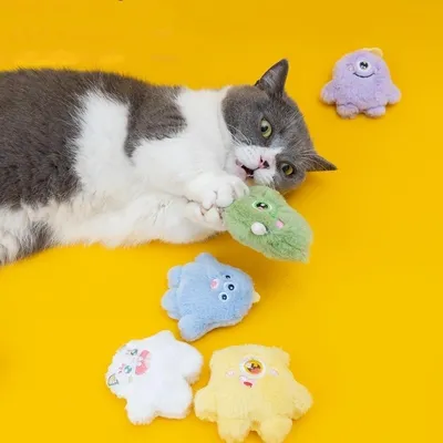 Pet Planet Six Pièces Jouets En Peluche À L'herbe À Chat Pour Chats
