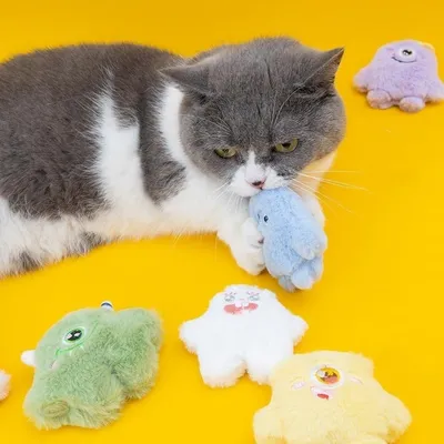 Pet Planet Six Pièces Jouets En Peluche À L'herbe À Chat Pour Chats