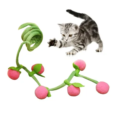 Pet Planet Jouet pour chat en forme de légume avec catnip