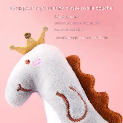 Pet Planet Ensemble de 5 Jouets à Nepeta Pour Chats d'Intérieur