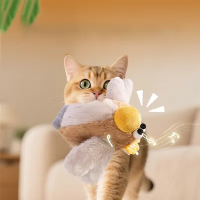 IntiMeg Jouet électronique Oiseau pour chat