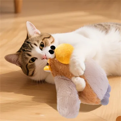 IntiMeg Jouet électronique Oiseau pour chat