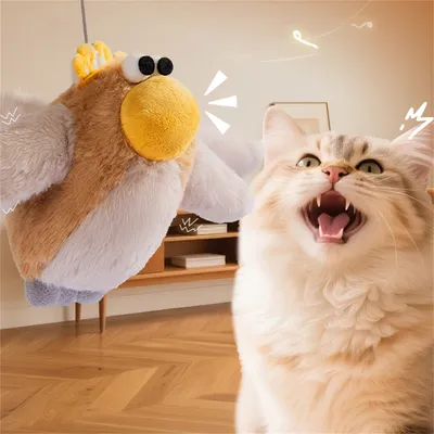 IntiMeg Jouet électronique Oiseau pour chat