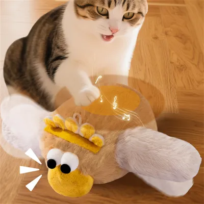 IntiMeg Jouet électronique Oiseau pour chat