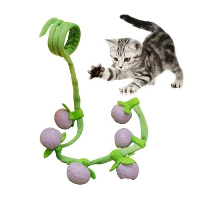 Pet Planet Jouet pour chat en forme de légume avec catnip