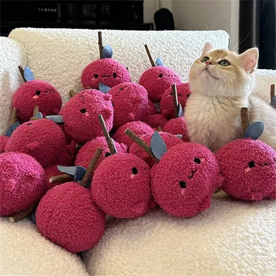 Pet Planet Jouet pour chat en bois de tatarin