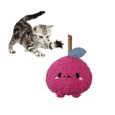 Pet Planet Jouet pour chat en bois de tatarin