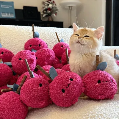 Pet Planet Jouet pour chat en bois de tatarin